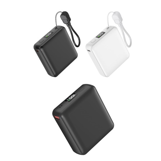PWB-006 10.000 mAh POWERBANK