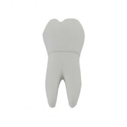 Promosyonluk Pvc Diş Modeli Flash Bellek