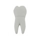Promosyonluk Pvc Diş Modeli Flash Bellek