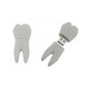 Promosyonluk Pvc Diş Modeli Flash Bellek