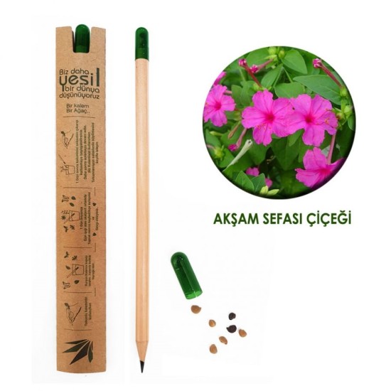 Promosyon Tohumlu Kapaklı Tükenmez Kalem