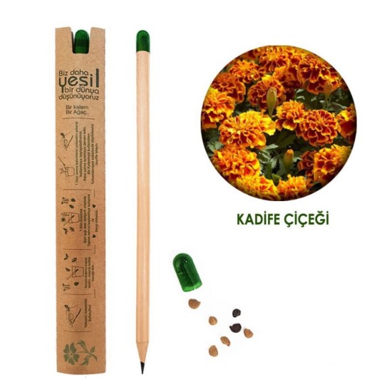 Promosyon Tohumlu Kapaklı Tükenmez Kalem