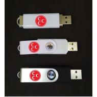 Seçim İçin Promosyon USB Flash Bellek